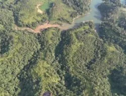 Peraturan Presiden Nomor 5 Tahun 2025 tentang Penertiban Kawasan Hutan