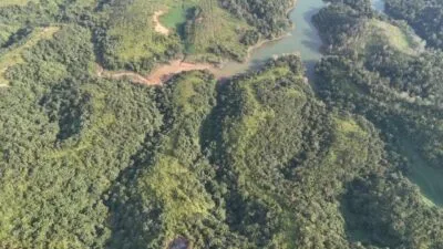 Hutan.(PantauSawit.com/Jojo)